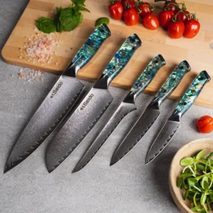 Culinary Knife Set